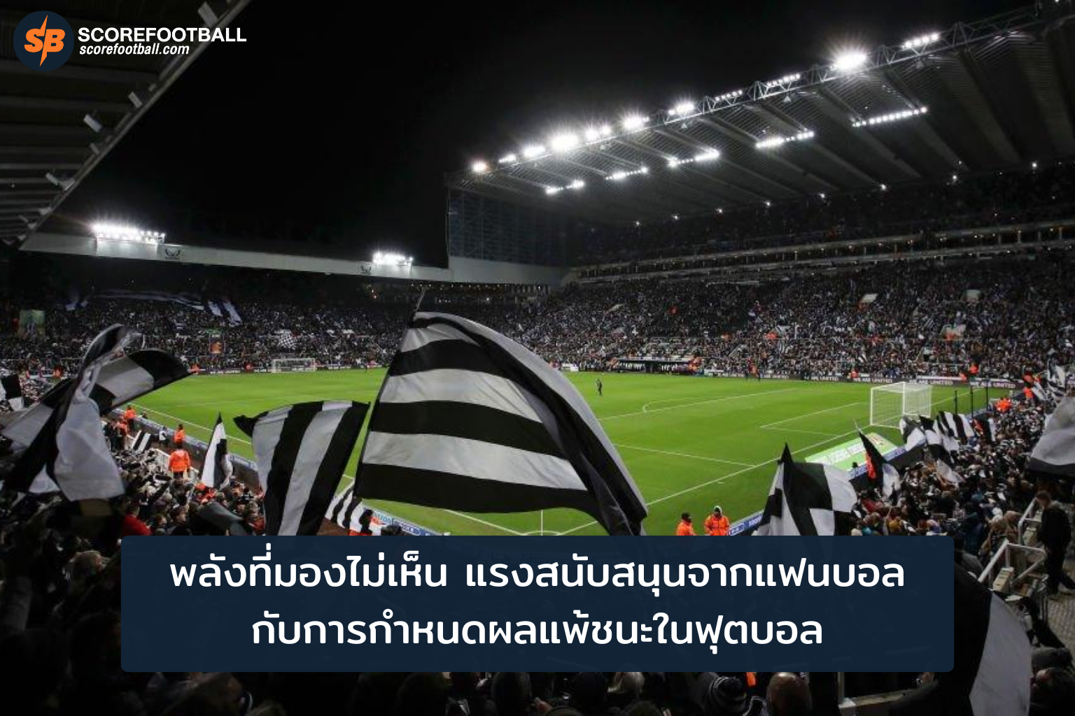 แรงเชียร์แฟนบอล พลังลับที่ชี้ชัยชนะในแมตช์ฟุตบอล