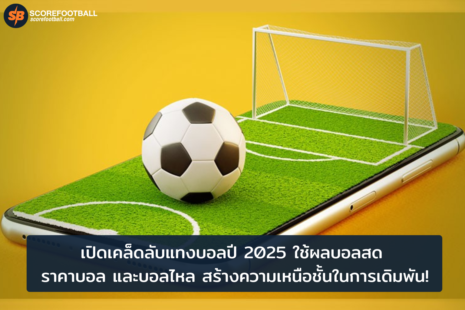 เคล็ดลับแทงบอล 2025 ใช้ผลบอลสด ราคาบอล และบอลไหลเพื่อชัยชนะ